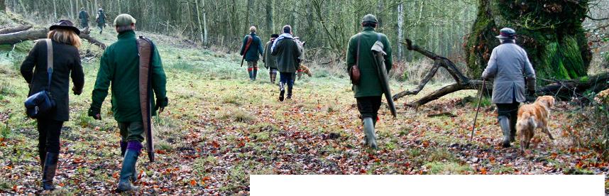 Image of a gun dog waiting on the peg at Willey Park Shoot