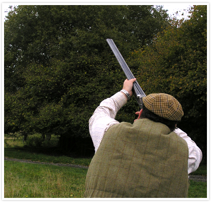 Large image of Lord Forester at Willey Park