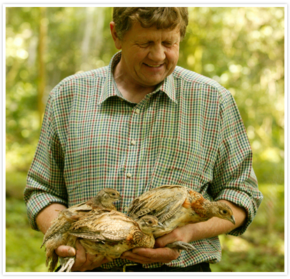 Large image of Philip with poults at Willey Park