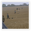 Image of beaters flushing out pheasants at Willey Park