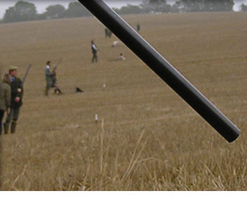 Image of the view over the guns with Lord Forester in the foreground early in the shooting season at Willey Park